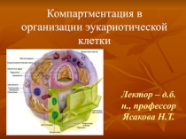 Лектор – д.б.н., профессор Ясакова Н.Т