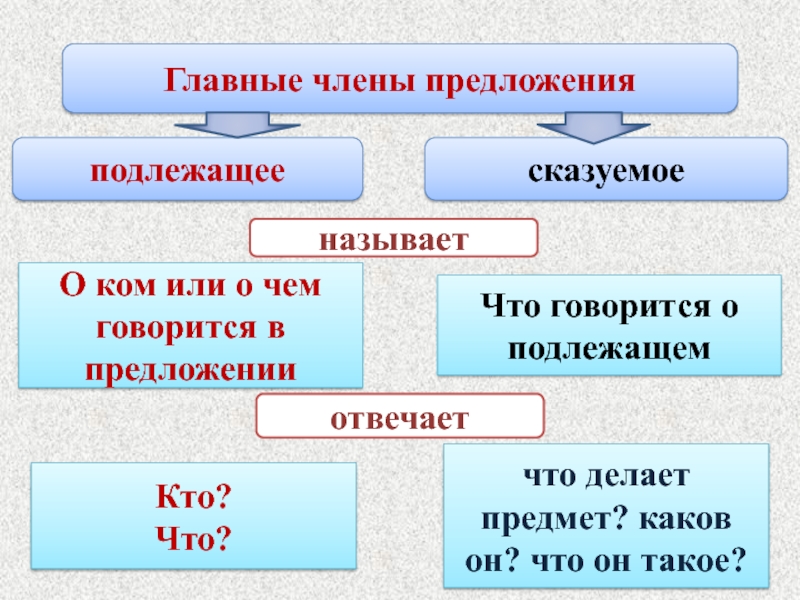 Схема главные члены предложения