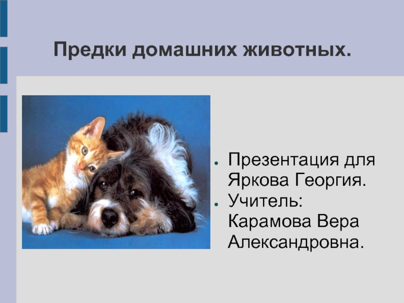 Презентация Предки домашних животных