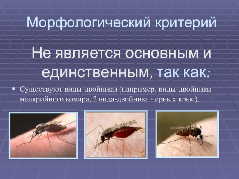 Морфологический критерийНе является основным и единственным, так как:Существуют виды-двойники (например, виды-двойники малярийного комара, 2 вида-двойника черных крыс).