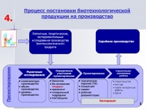 Процесс постановки биотехнологической продукции на производство