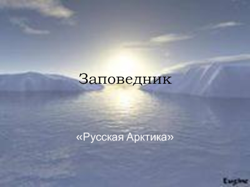 Заповедник  «Русская Арктика»