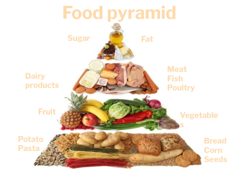 Food pyramidFatSugarDairy productsMeatFishPoultryFruitVegetablesBreadCornSeedsPotatoPasta