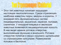 Тип стрекающие 