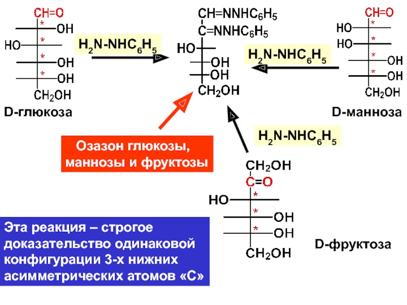 Глюкоза образуется в результате реакции. D манноза +h2. Реакция взаимодействия Глюкозы с nh3. Синтез маннозы из фруктозы. Манноза nh2.