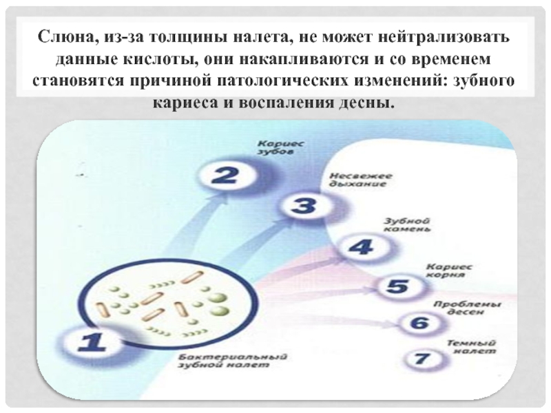 Дали кислота. Короткоцепочечные жирные кислоты лауриновая. Слюна нейтрализует кислоту. Кислота в слюне человека причины.