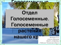 Отдел Голосеменные. Голосеменные растения нашего края 6 класс