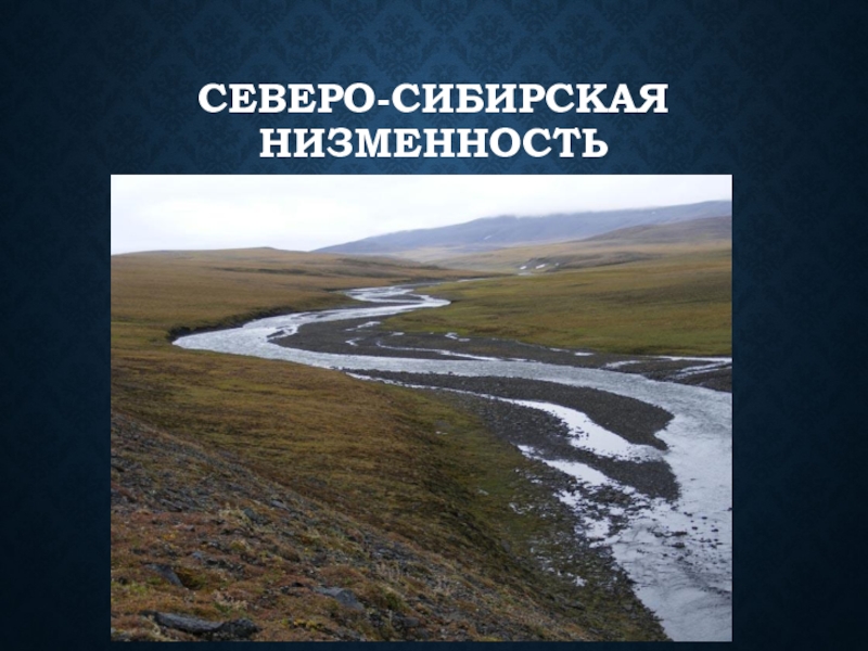 Северо сибирская низменность карта