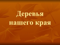 Деревья нашего края