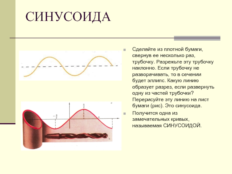 Замечательные кривые презентация