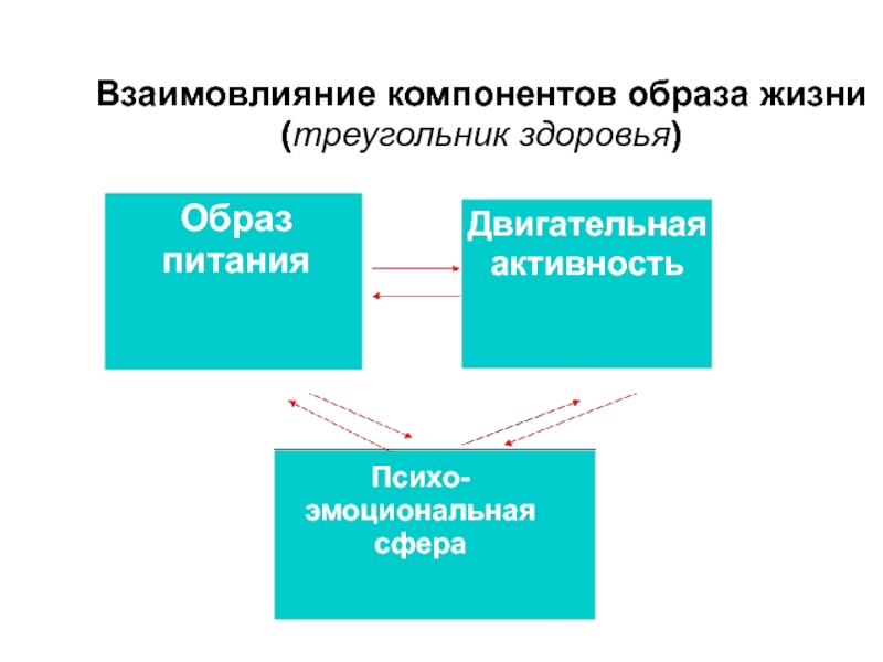 Взаимовлияние. Треугольник здоровья Гудхарта. Взаимовлияние это в психологии. Взаимовлияние различных составляющих здоровья..