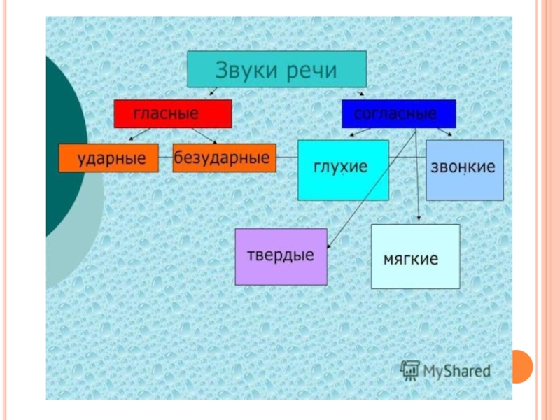 Комплексное повторение 6 класс русский язык презентация