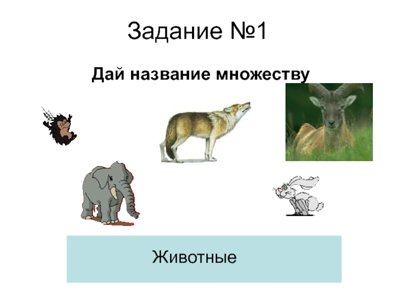 Давай названия животных. Примеры множеств животных. Животные элементы множества. Множества животных 3 класс. Схема множества животные.