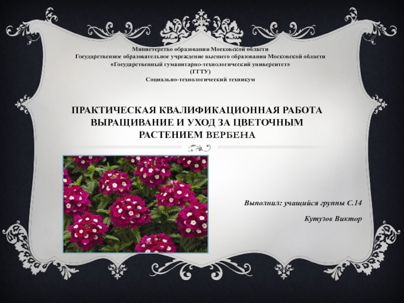 Презентация Практическая квалификационная работа Выращивание и уход за цветочным растением
