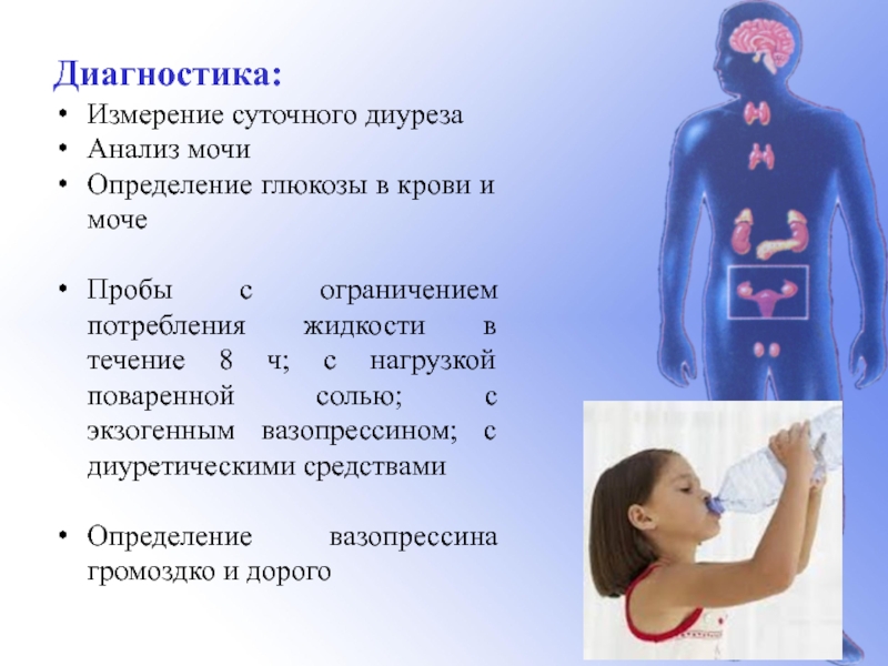 Измерение суточного. Измерение суточного диуреза. Изменение суточного диуреза. Аномалии эндокринных желез. Оценка суточного диуреза.