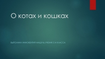 О котах и кошках