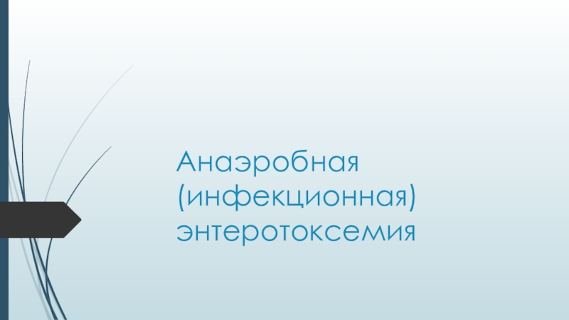 Презентация Анаэробная (инфекционная) энтеротоксемия