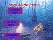 Основные виды лесных возгораний
Верховой пожар
Пожар по земле
Подземный пожар
