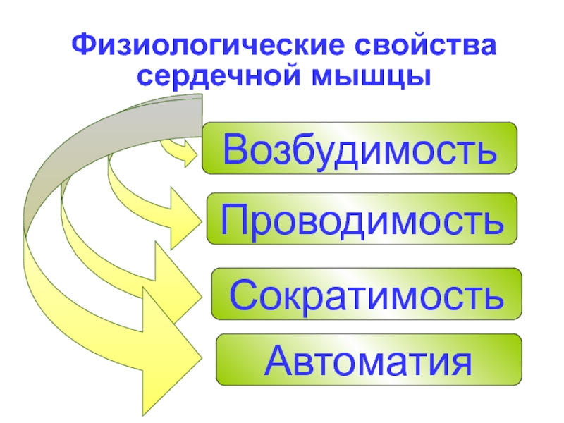 Свойства сердечной мышцы физиология презентация