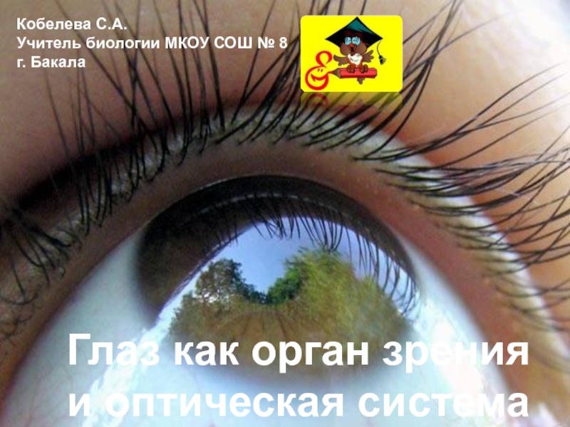 Глаз как орган зрения и оптическая система 8 класс