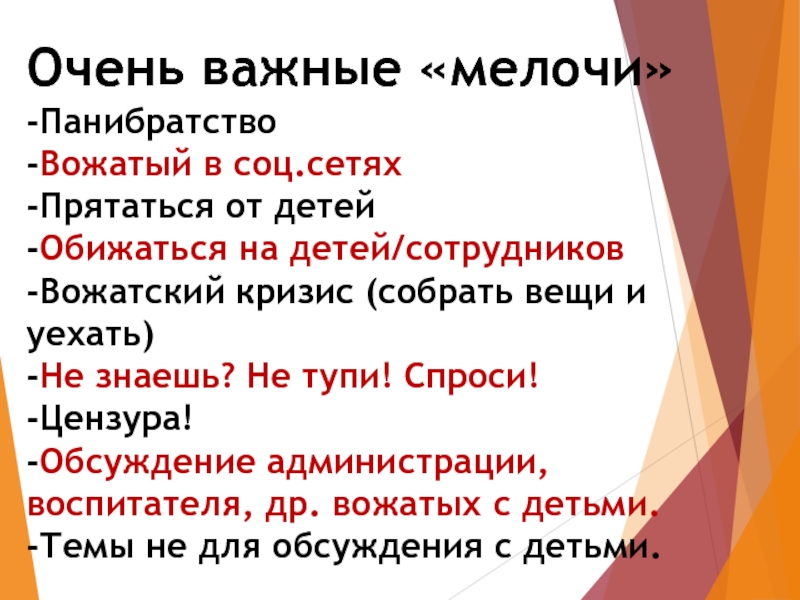 Презентация идеальный вожатый