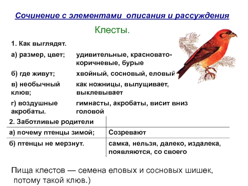 3 класс изложение клесты школа россии презентация обучающее