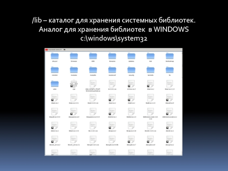 Lib catalog. Назначение каталога. Корневой каталог Linux. Целевой каталог в Linux. Содержимое корневого каталога Linux.
