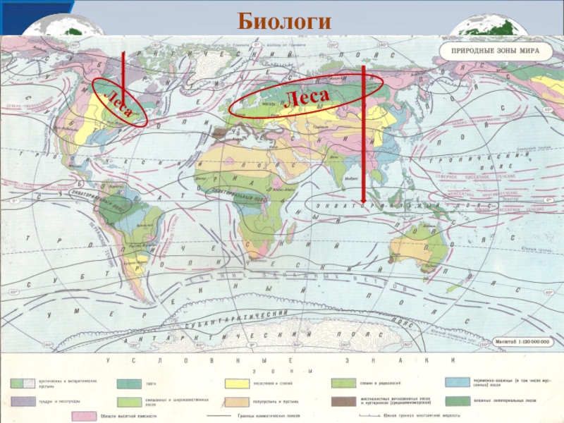 Карта природных зон северного полушария