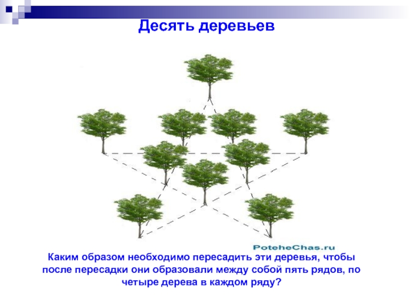 Каким образом размещенный. 10 Деревьев 5 рядов по 4 дерева. Пять рядов по четыре дерева. Десять деревьев в пять рядов по четыре. 5 Рядов по 4 дерева.