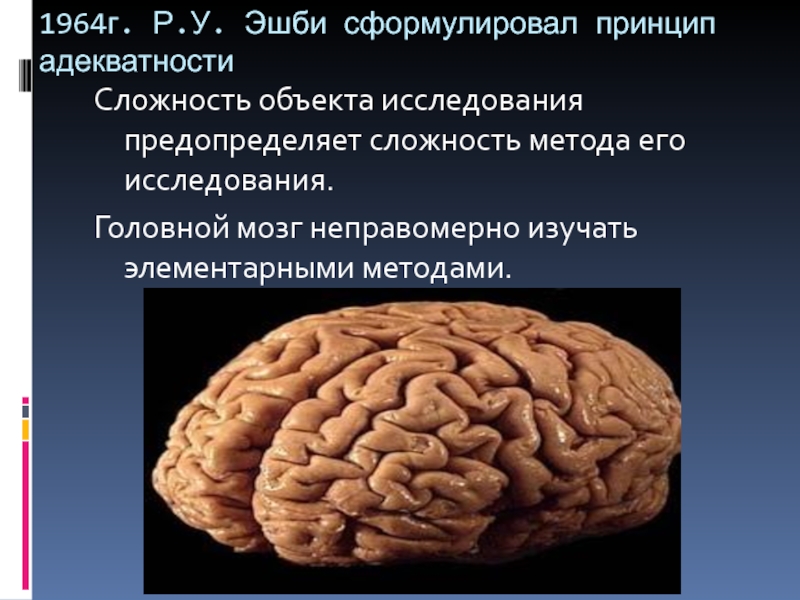 Исследование головного мозга. Актуальность изучения головного мозга. Исследование головного мозга какие бывают. Доклад на тему исследование головного мозга.