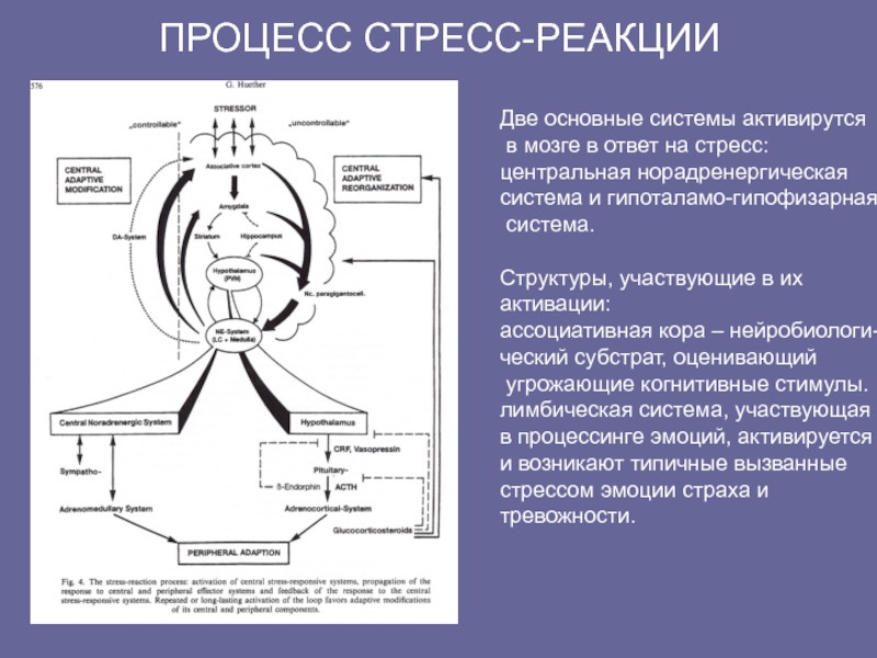 Ситуационная реакция на стресс карта вызова