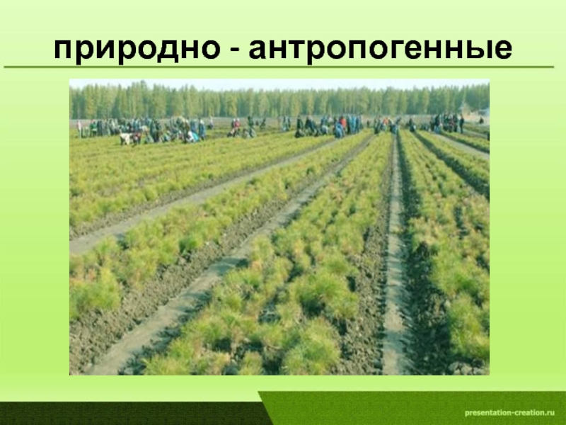 По рисунку 205 опишите природные и природно антропогенные комплексы японии найдите на карте города