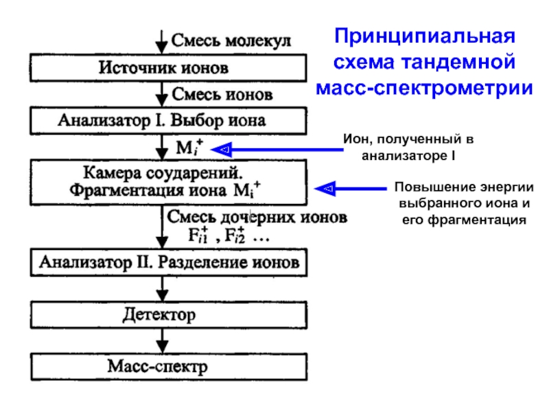 Схема фрагментации в масс спектрах