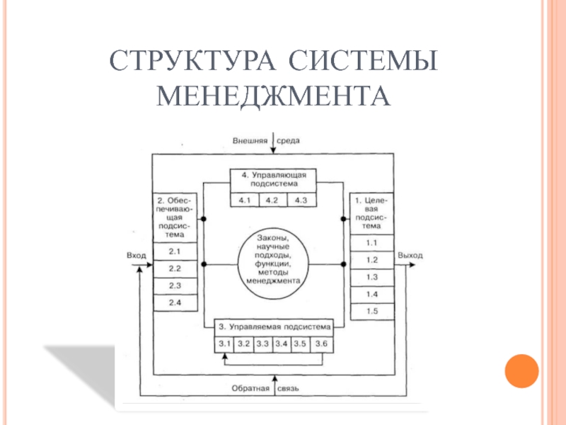 Структура менеджмента. Вход и выход систем менеджмент закон.