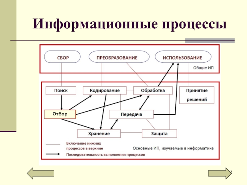 Информационный процесс сообщение