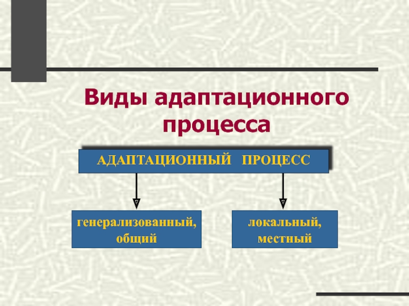 Комплексная оценка общего адаптационного синдрома у детей презентация