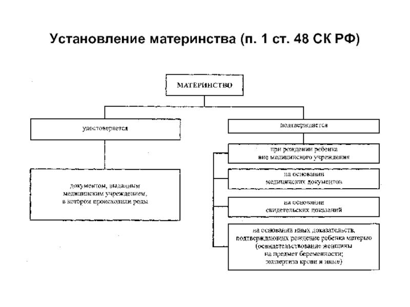 Материнство устанавливается схема