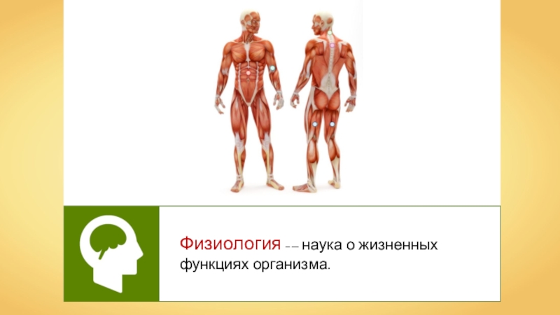 Наука о человеке и человеческом. Наука о функциях организма. Наука о жизненных функциях организма человека и его органов. Науки о человеке и их методы 8 класс презентация. Физиология наука о житейских функциях.