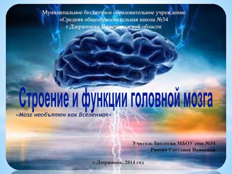 Презентация Строение и функции головного мозга