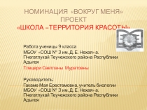 Номинация Вокруг меня     Проект Школа –территория красоты
