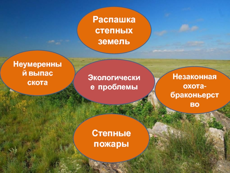 Проблемы природных зон. Экологические проблемы степи. Экологические проблемы Степной зоны. Экологическая обстановка в степи. Экология в зоне степей.