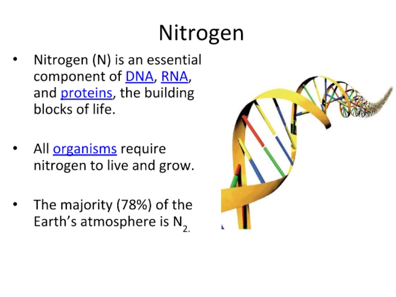 Nitrogen