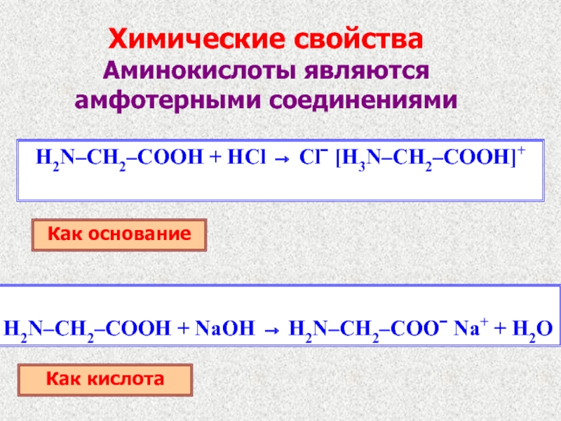 Химические свойства аминокислот. Аминокислоты с кислотами. Аминоуксусная кислота химические свойства. Химические свойства аминоуксусной кислоты.