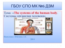 The systems of the human body. Системы организма человека