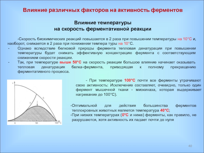 При увеличении температуры в 2 раза. Влияние температуры на скорость ферментативной реакции. Факторы влияющие на скорость ферментативных реакций. Влияние различных факторов на активность ферментов. Факторы которые влияют на скорость ферментативной реакции.