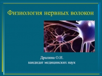 Физиология нервных волокон