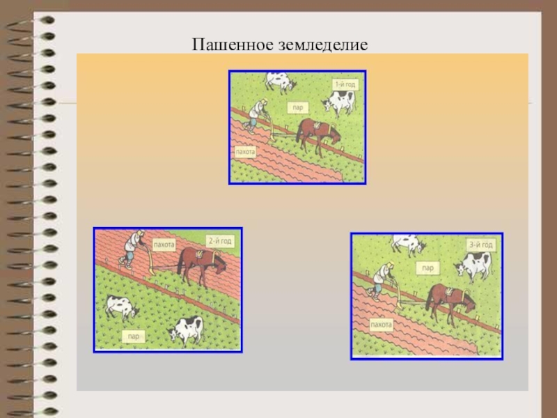 Окружающий мир заполни схему земледелие окружающий мир 3 класс