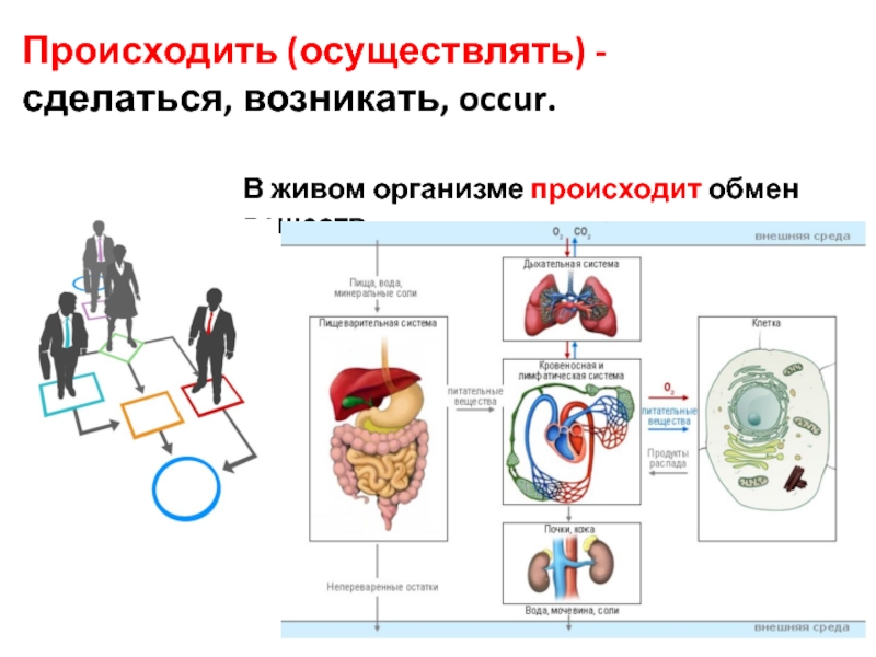 Результате в организме происходит