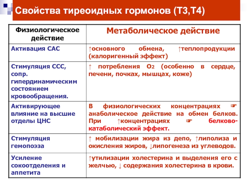 Тиреоидные гормоны презентация