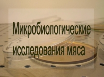 Микробиологические исследования мяса 